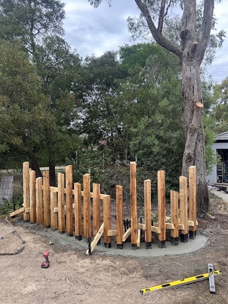 Upright timber posts set in fresh concrete forming a curved feature wall under a gum