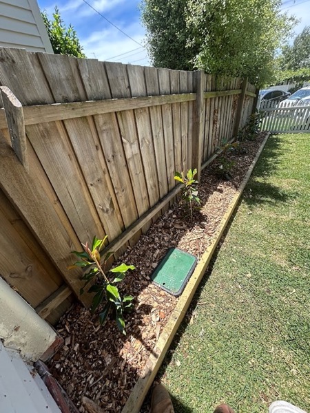 A new mulched garden bed with timber edging and young plants along a paling fence